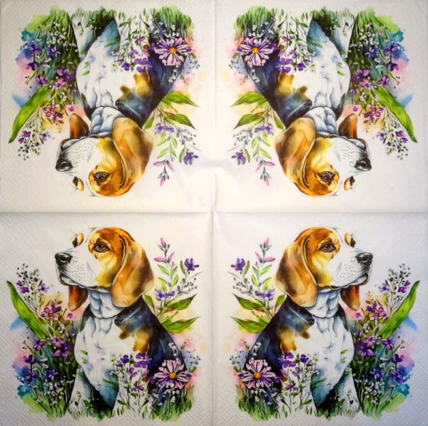927 Hunde - 3-lagig - Specials